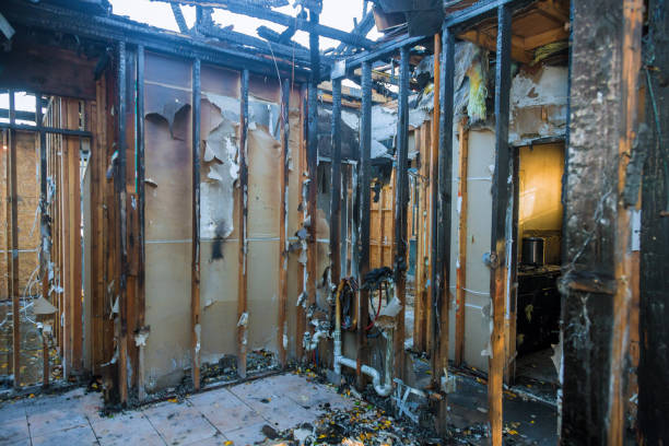 Professional Fire Damage Removal technician working in Florida, FL